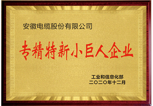 安徽電纜專精特新小巨人企業(yè)